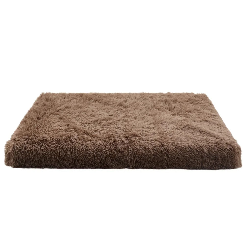 COUSSIN POUR CHIEN BRILLANT-BRIGHTDOGâą