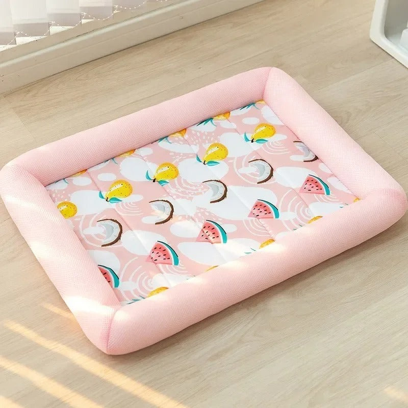 COUSSIN CHIEN MAGIE- MAGICDOGâą