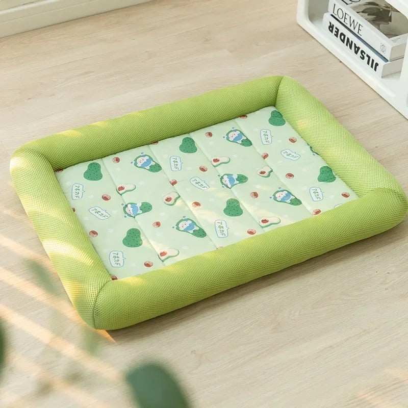 Coussin chien MagicDog vert â panier colorĂ© et moelleux