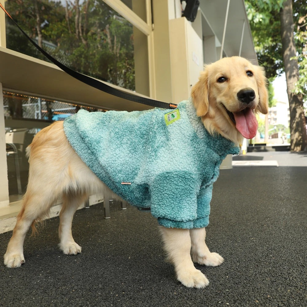 MANTEAU POUR CHIEN COUPE VENT -WINDOGâą