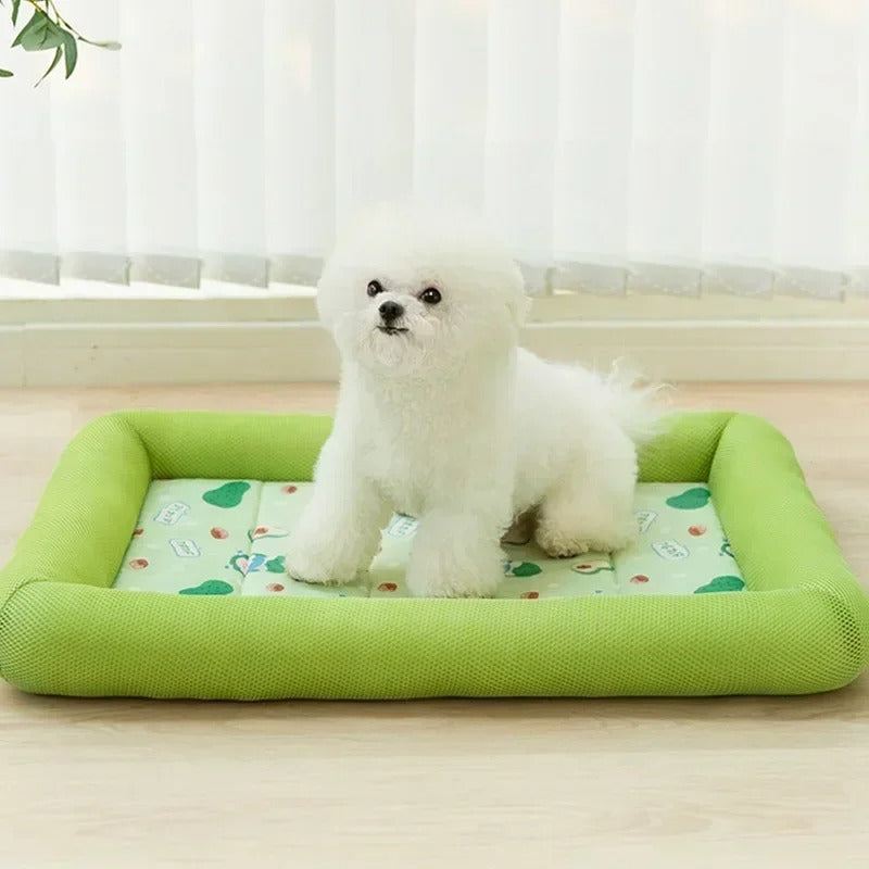 COUSSIN CHIEN MAGIE- MAGICDOGâą