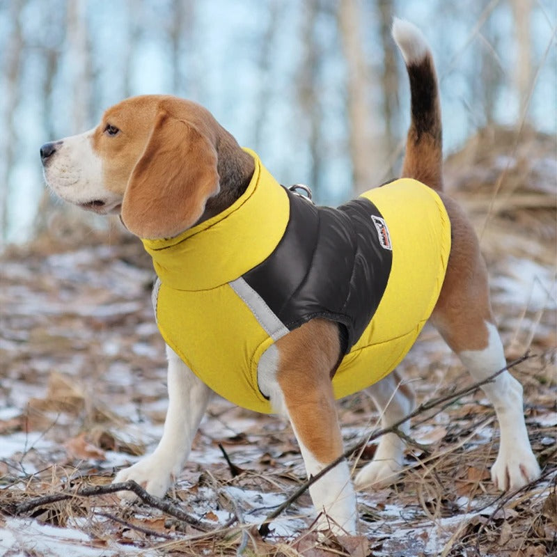 MANTEAU CHIEN CORDIAL - WARMYDOGâą