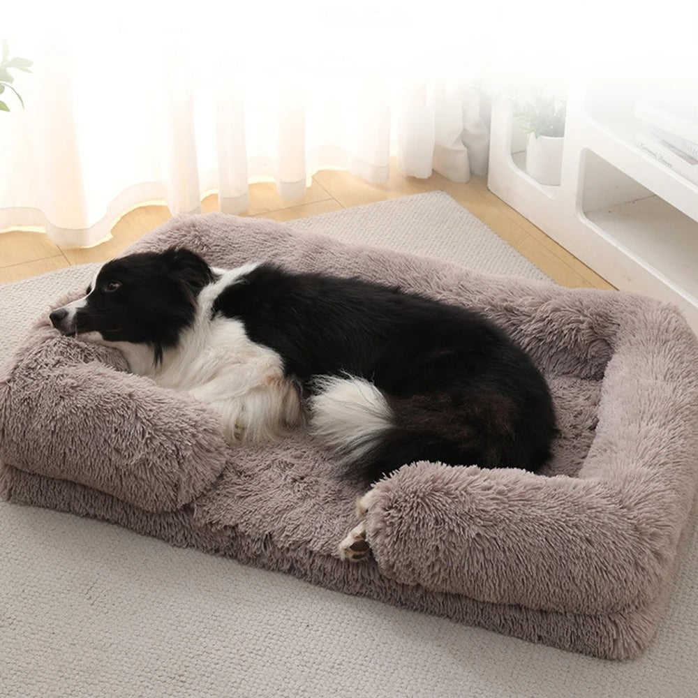 PANIER CHIEN-ABRI-SHELTERDOGâą