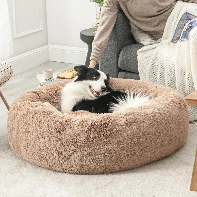 COUSSIN CHIEN CALME -QUIETDOGâą