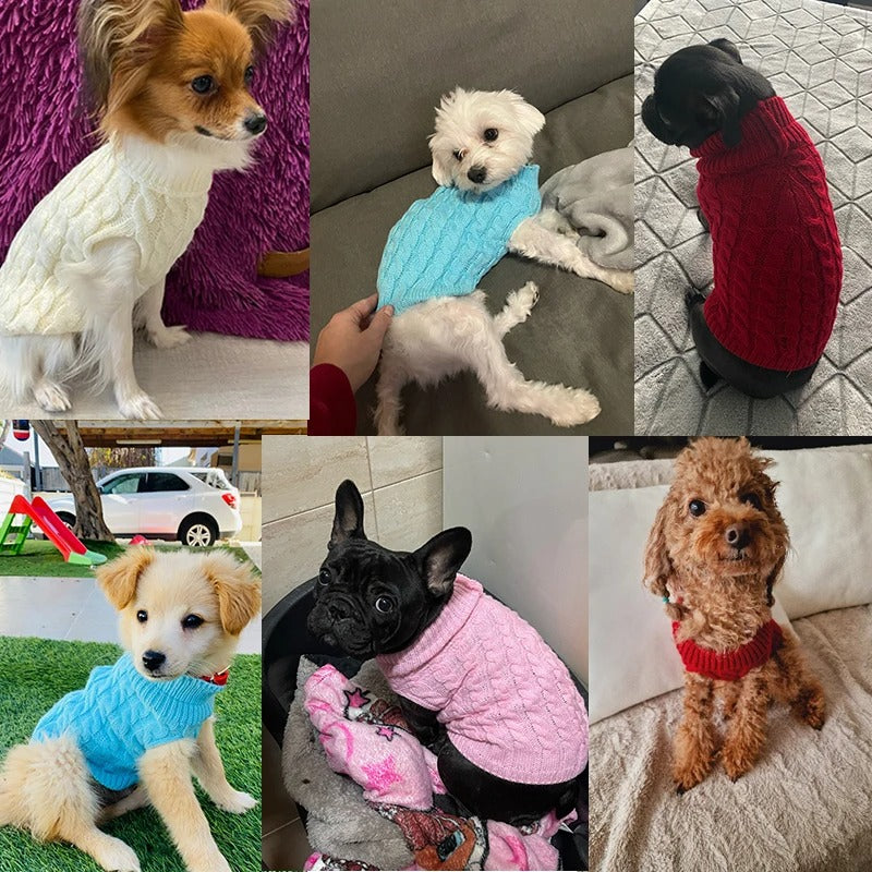 MANTEAU CHIEN LAINE-WOOLYDOGâą