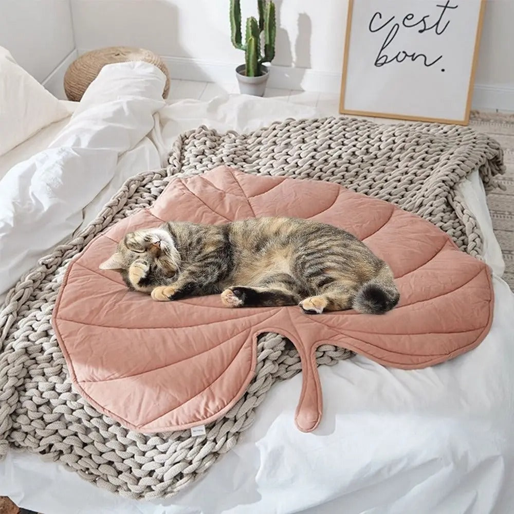 TAPIS RAFRAÎCHISSANT POUR CHIEN TENDRE-TENDERDOG™
