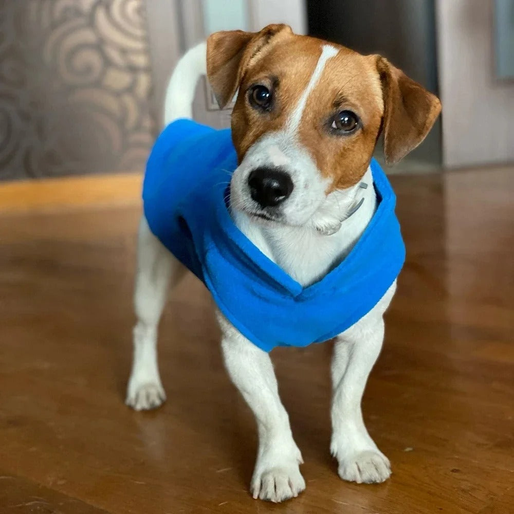 MANTEAU CHIEN CHALEUR -POLARDOGâą