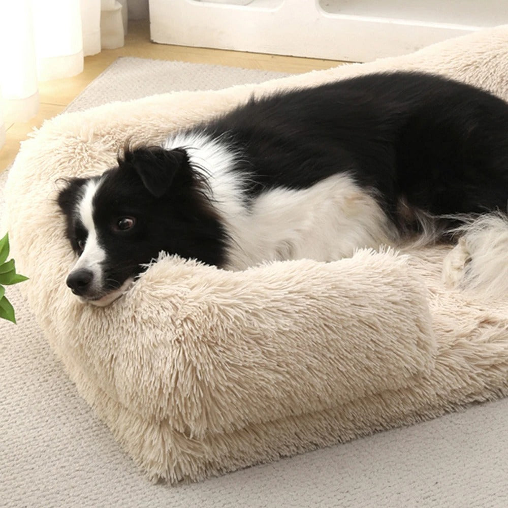 PANIER CHIEN-ABRI-SHELTERDOGâą