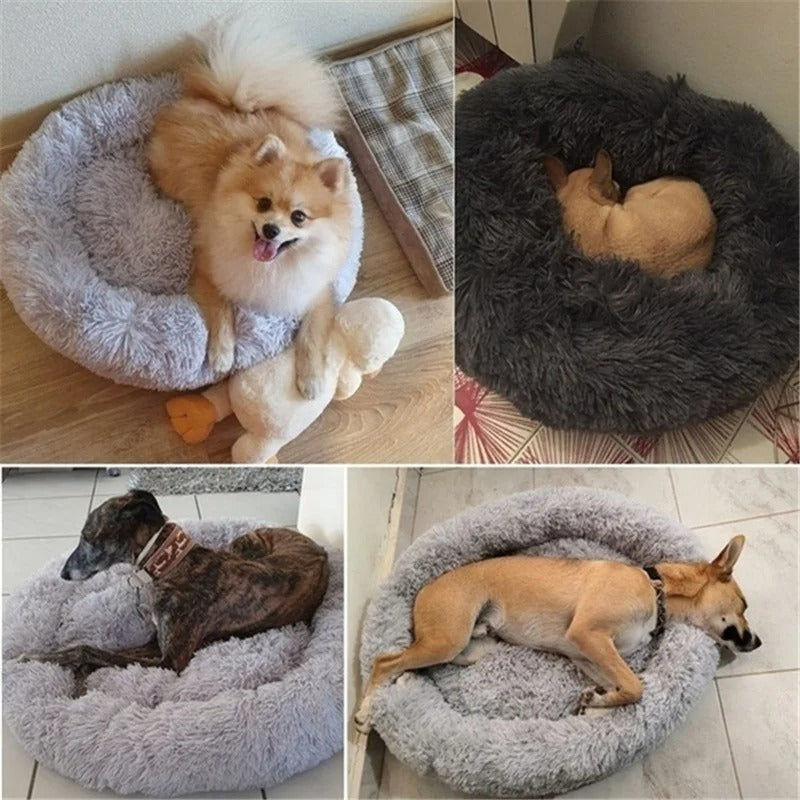 COUSSIN CHIEN CALME -QUIETDOGâą
