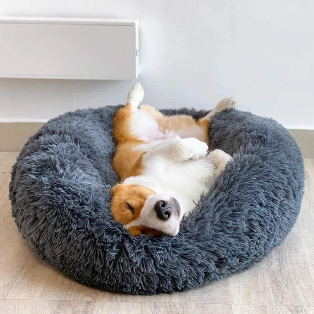 PANIER CHIEN DESIGN MIGNON-CUTYDOGâą