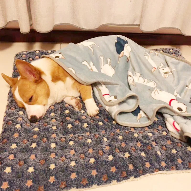 TAPIS POUR CHIEN COMMODE-COMMODYDOGâą