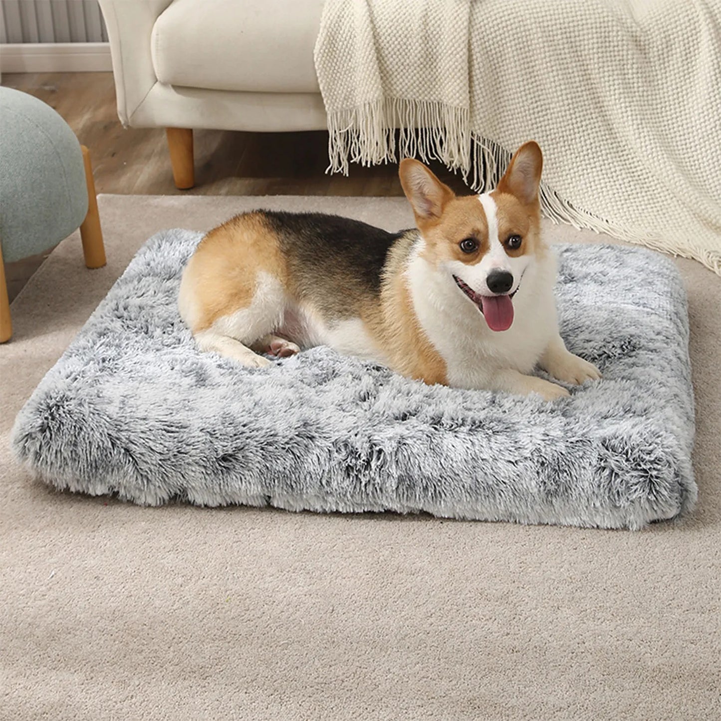 COUSSIN POUR CHIEN BRILLANT-BRIGHTDOGâą