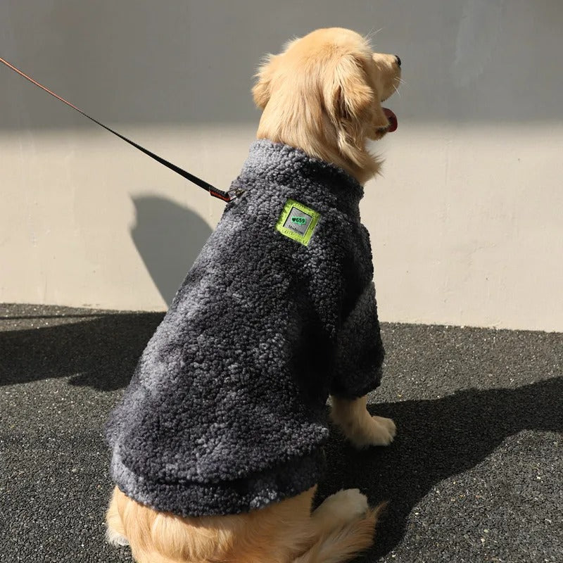 MANTEAU POUR CHIEN COUPE VENT -WINDOGâą