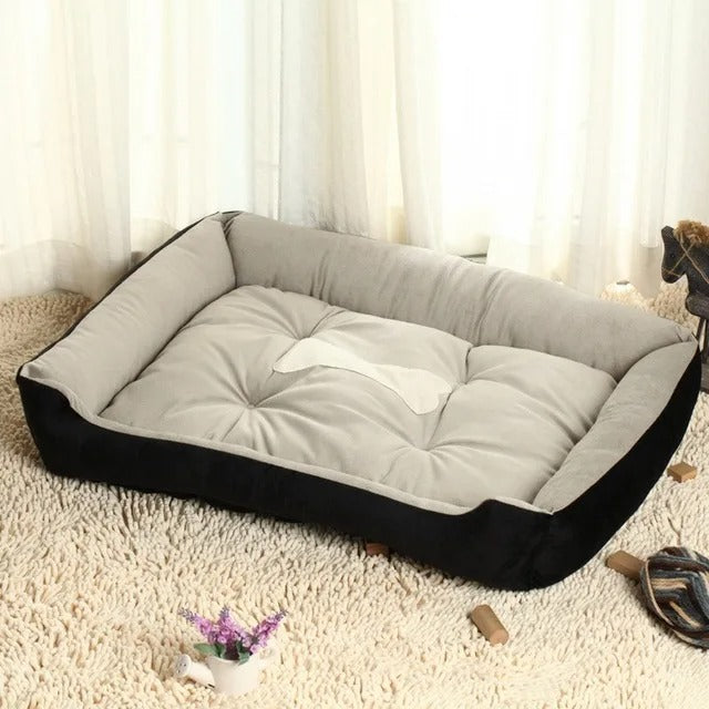COUSSIN CHIEN AMI-FRIENDOGâą