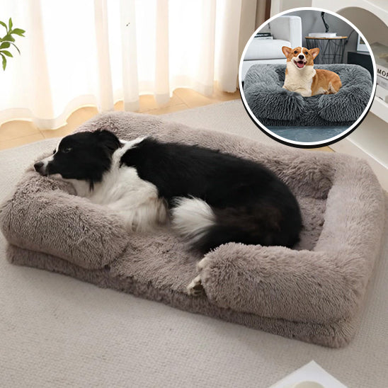 PANIER CHIEN-ABRI-SHELTERDOGâą