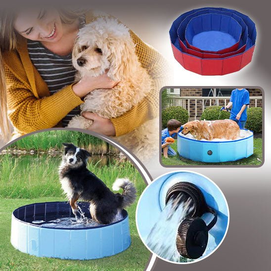 POOL DOG - Galaxie canine