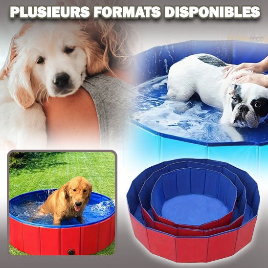 POOL DOG - Galaxie canine