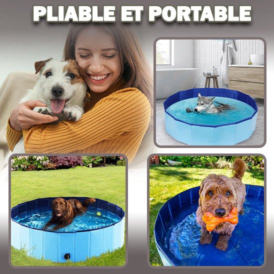 POOL DOG - Galaxie canine