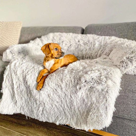 TAPIS CHIEN - REPOS