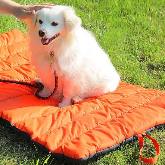 Tapis pour chien