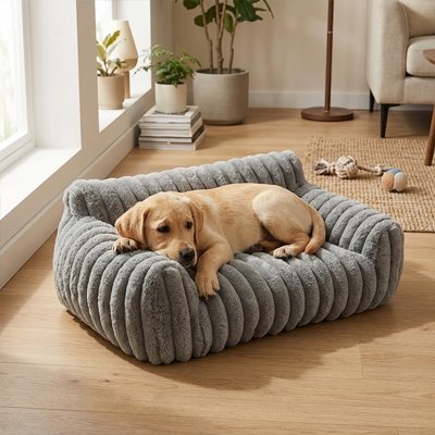 canapé pour chien