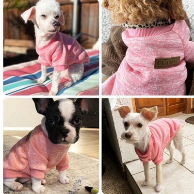 MANTEAU CHIEN - VESTYDOG™