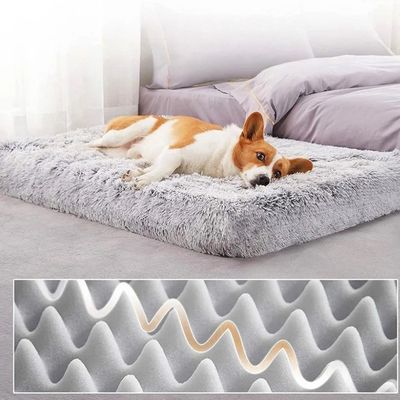 COUSSIN POUR CHIEN -BRIGHTDOG™