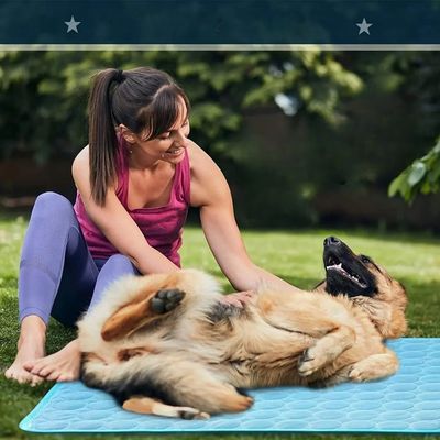 TAPIS POUR CHIEN-WONDERFULDOG™