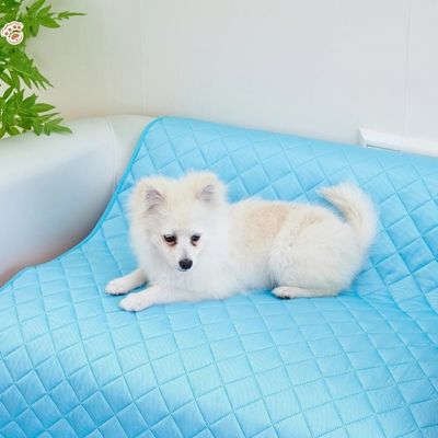 TAPIS POUR CHIEN-WONDERFULDOG™