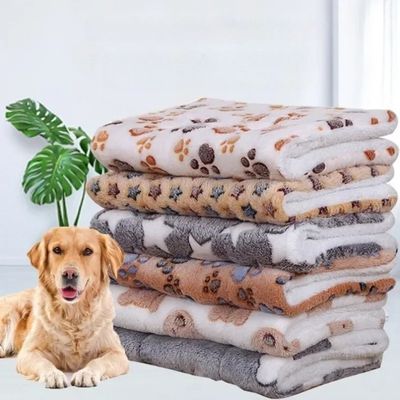 TAPIS POUR CHIEN-FERVORYDOG™