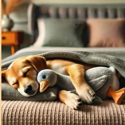 PELUCHE CHIEN | ULTRA-DOUCE