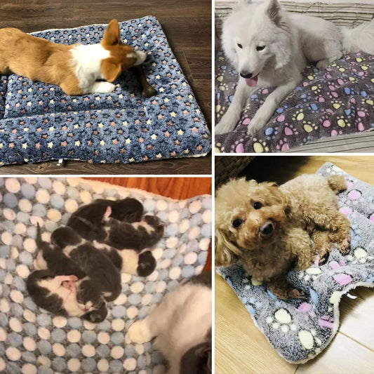 TAPIS POUR CHIEN COMMODE-COMMODYDOG™