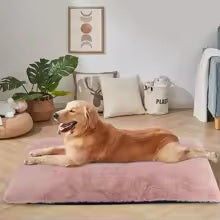 TAPIS  CHIEN TONIQUE| Confort Durable et Soutien Quotidien
