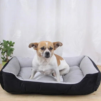 PANIER CHIEN  - SOOTHINGDOG™