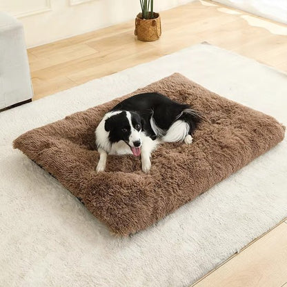 Coussin pour chien