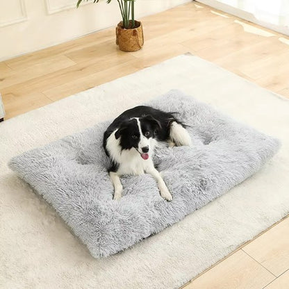Coussin pour chien