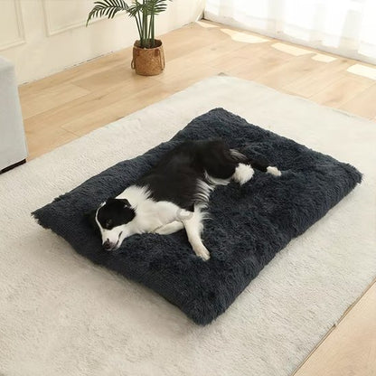 Coussin pour chien