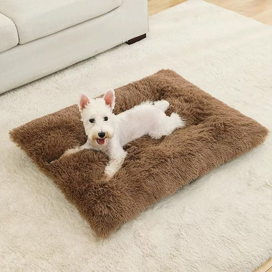 Coussin pour chien