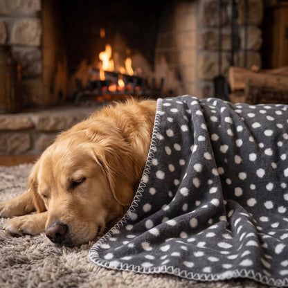 Couverture chien