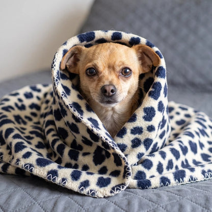 Couverture chien