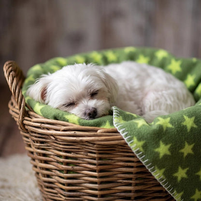Couverture chien