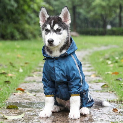 Manteau pour chien - Printemps léger idéal pour la mi-saison