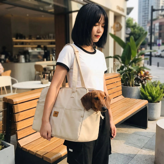 Sac transport chien polyester | Fixation voiture & bandoulière