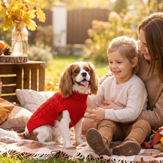 MANTEAU CHIEN -TRICOT CONFORTABLE ET CHALEUREUX