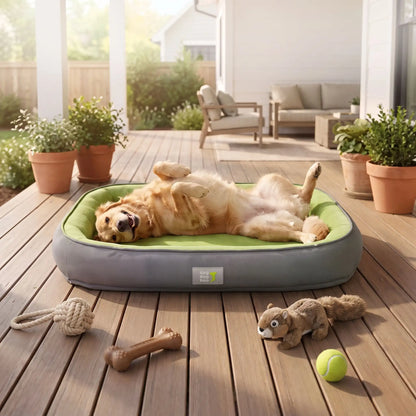 Lit de luxe pour chien sécurisé et confortable | DreamPet