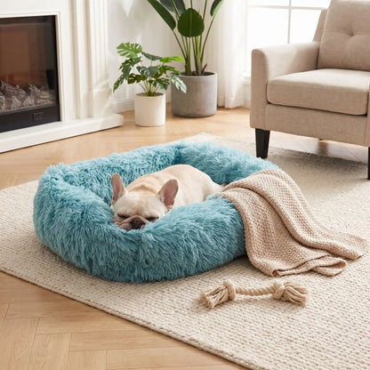 Panier anti-stress bleu turquoise avec un bouledogue français endormi et un plaid beige