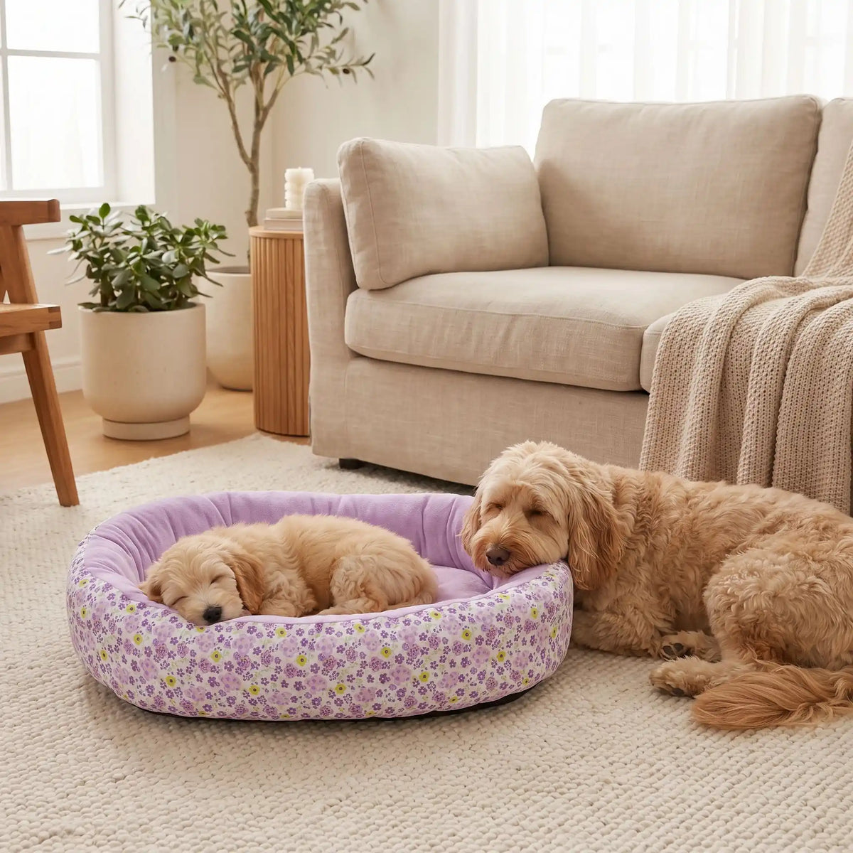 Panier pour Chien | Ovale Moelleux