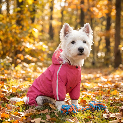 Manteau pour chien rose à bandes réfléchissantes porté par un petit chien blanc en forêt en automne