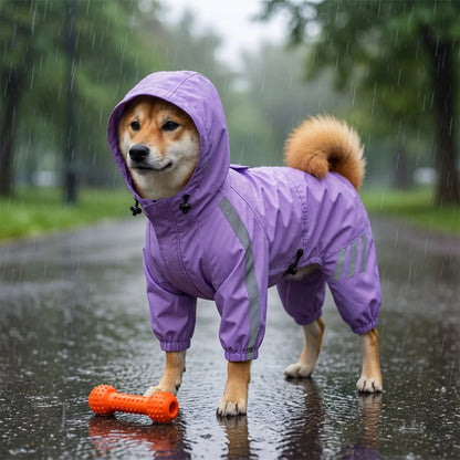 Manteau pour chien violet à capuche et bandes réfléchissantes porté par un shiba inu sous la pluie