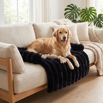 Protection canapé chien | Douceur confortable